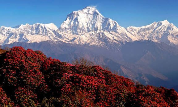 Ghandruk Ghorepani Poon Hill Trek