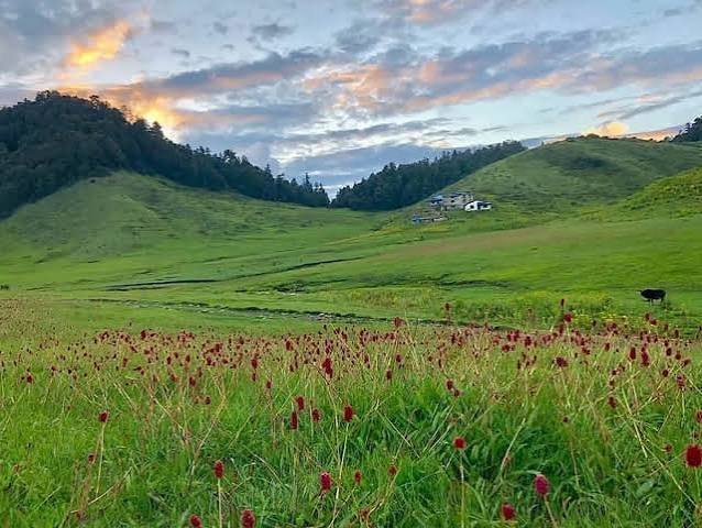 Khaptad to Api Himal 
