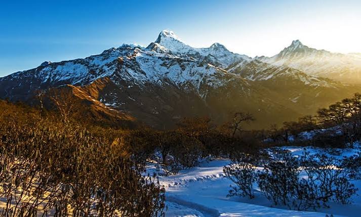 Mohare Danda Trek