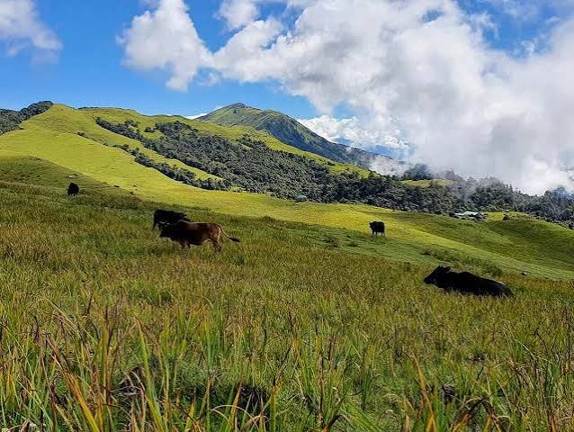 Mundum Trek