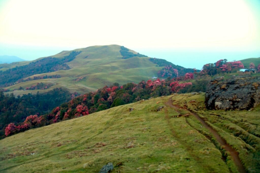 Mundum Trek – 13 Days | Kirat Cultural Trail