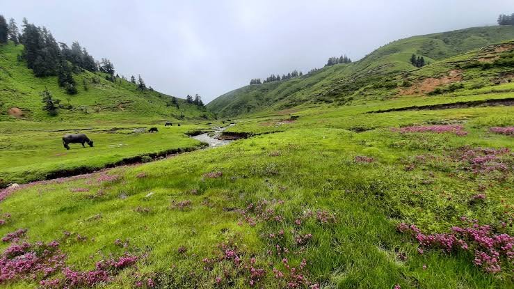 10 Day Ramaroshan Expedition - Exploring The Land Of 12 Lakes & 18 Meadows