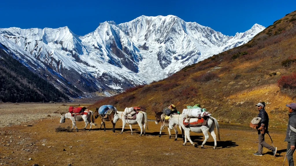 Saipal Himal South Base Camp Trek in western Nepal