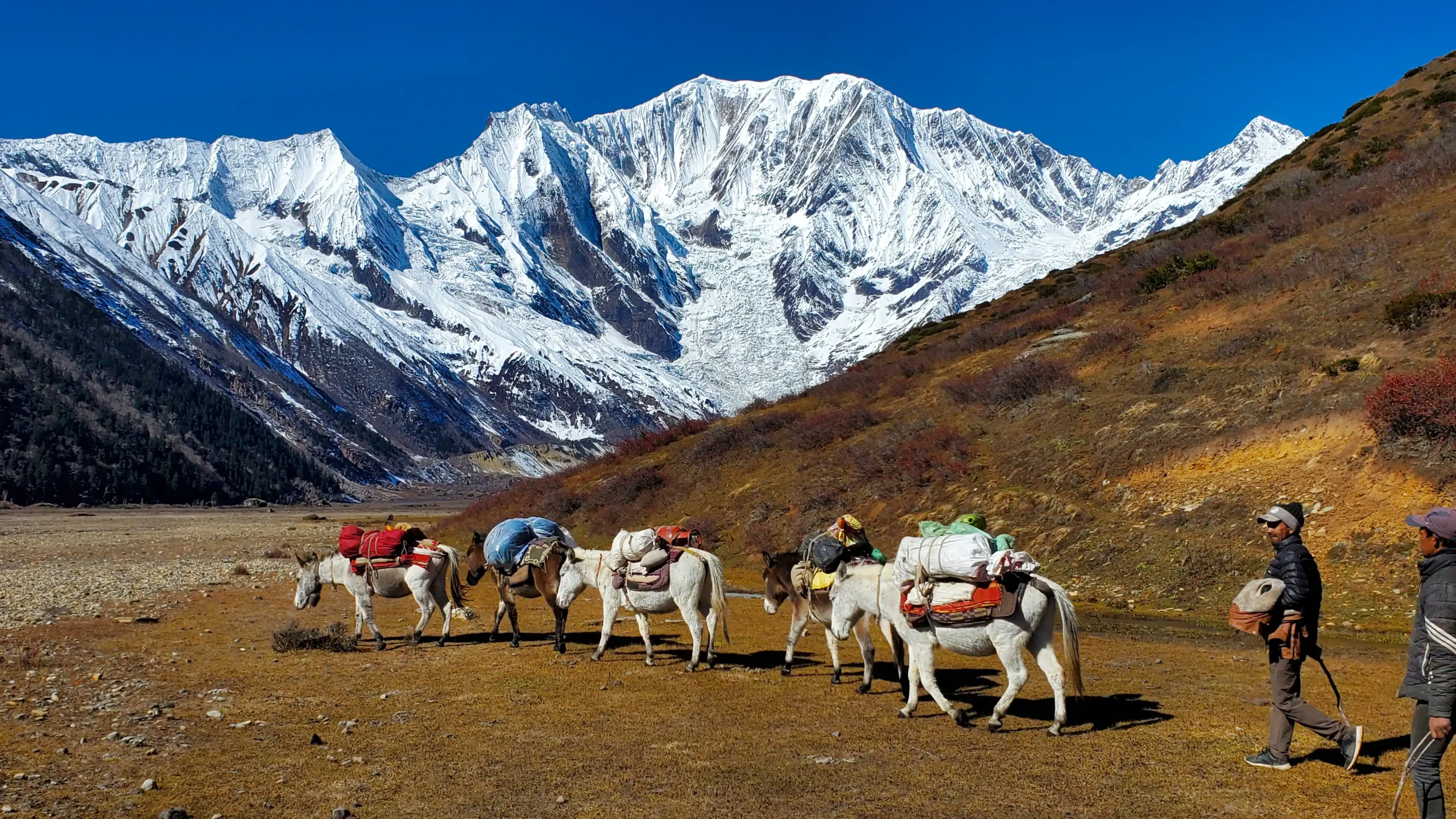 Grand Saipal Base Camp & Far-West Expedition
